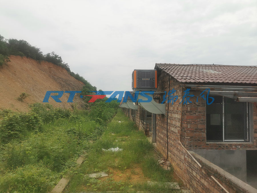 廠房降溫,環(huán)保空調(diào),冷風(fēng)機
